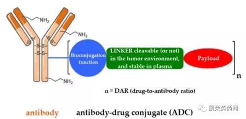 ADC药物