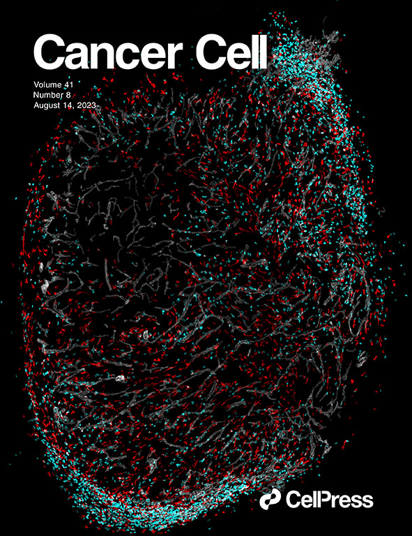 Cancer cell