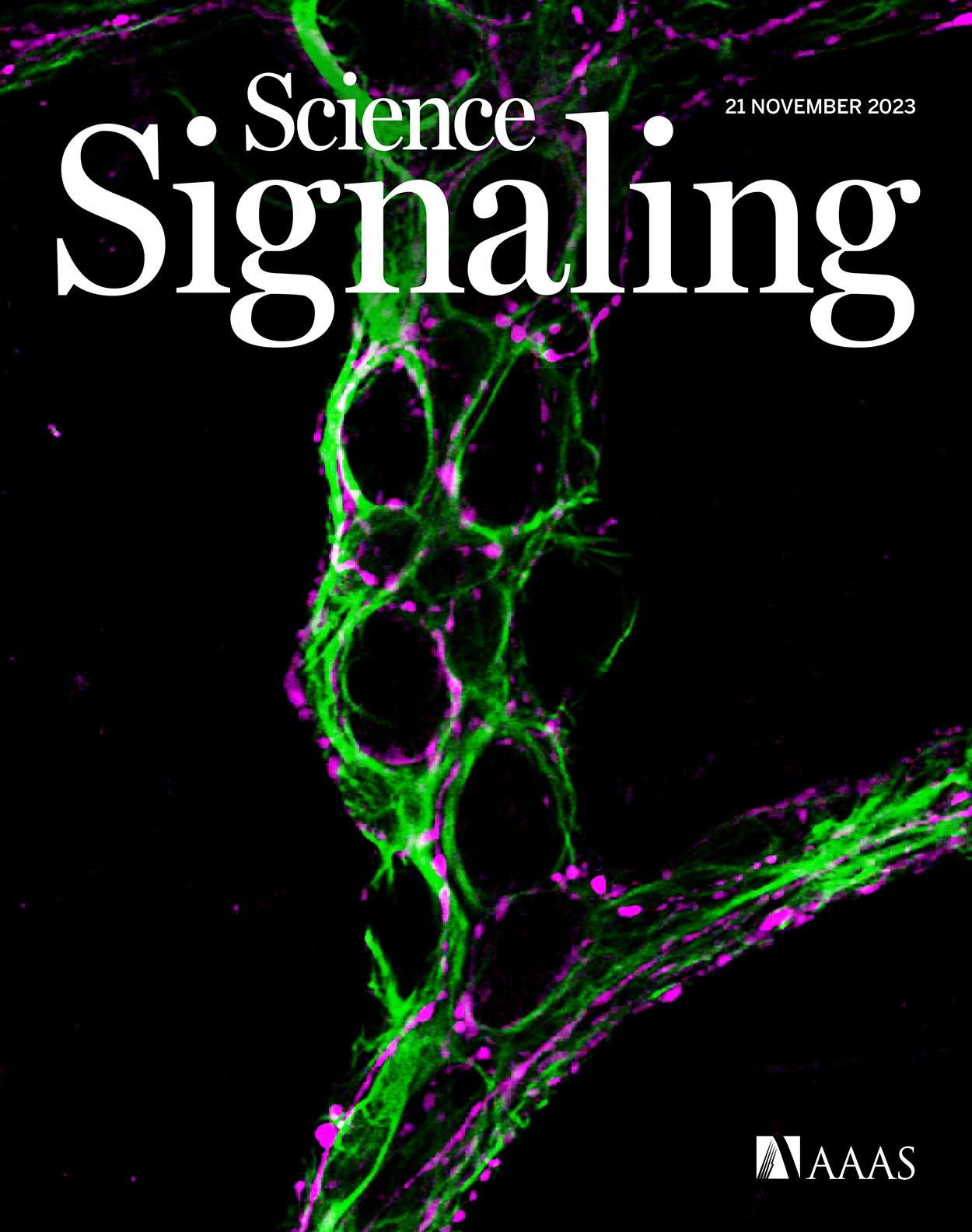 Science Signaling